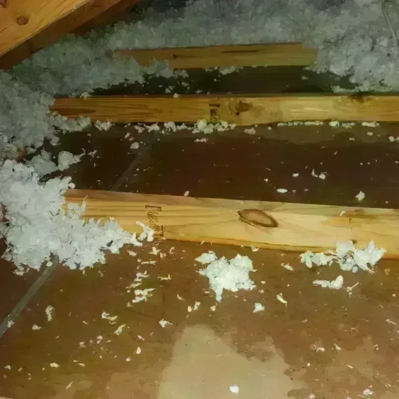 Attic Water Damage in Lynn, MA