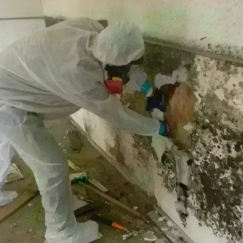 Mold Remediation and Removal in Lynn, MA